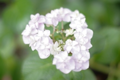 古き良き万博公園