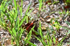 初秋の公園で・・