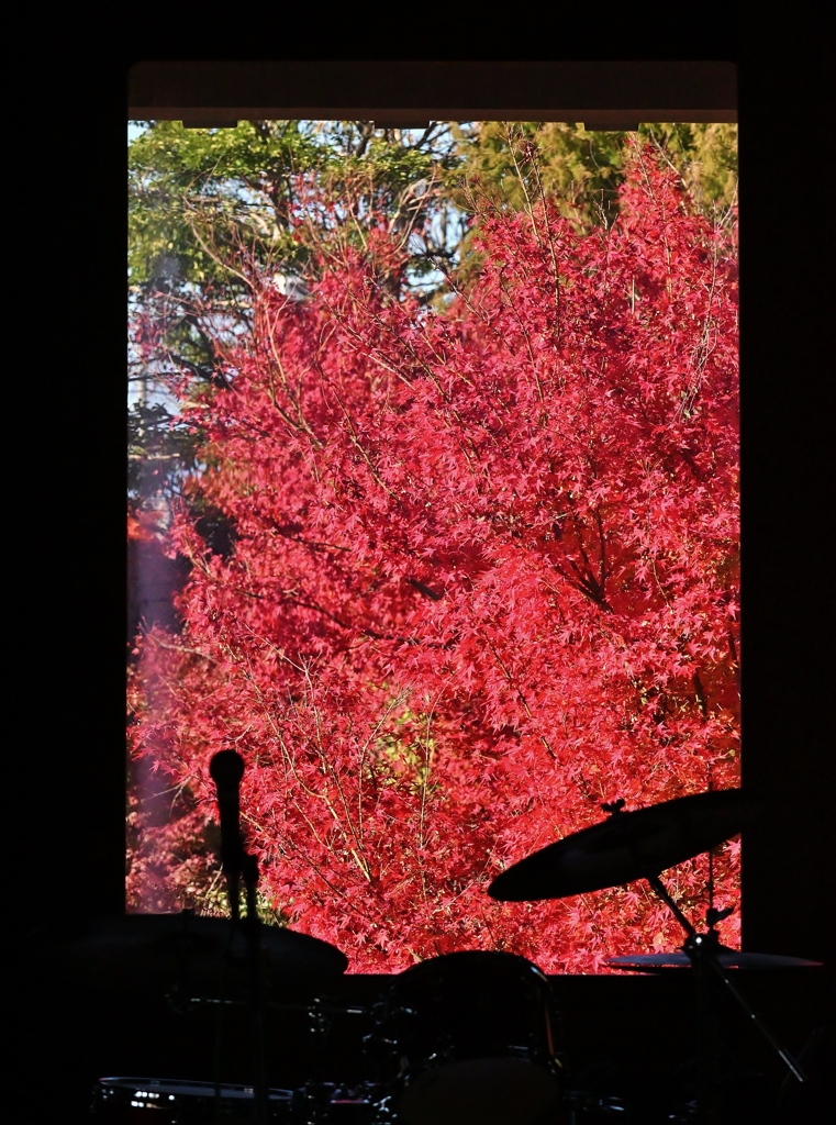 美酒と紅葉と音楽と