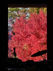 美酒と紅葉と音楽と