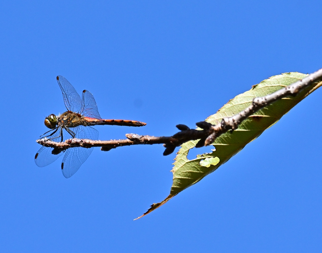 初秋の公園で・・