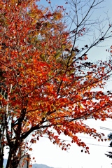 行楽日和でウキウキでした。