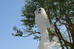 寒くなった秋のガーデンで。