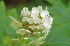 古き良き万博公園にて