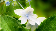 古き良き万博公園(試写)