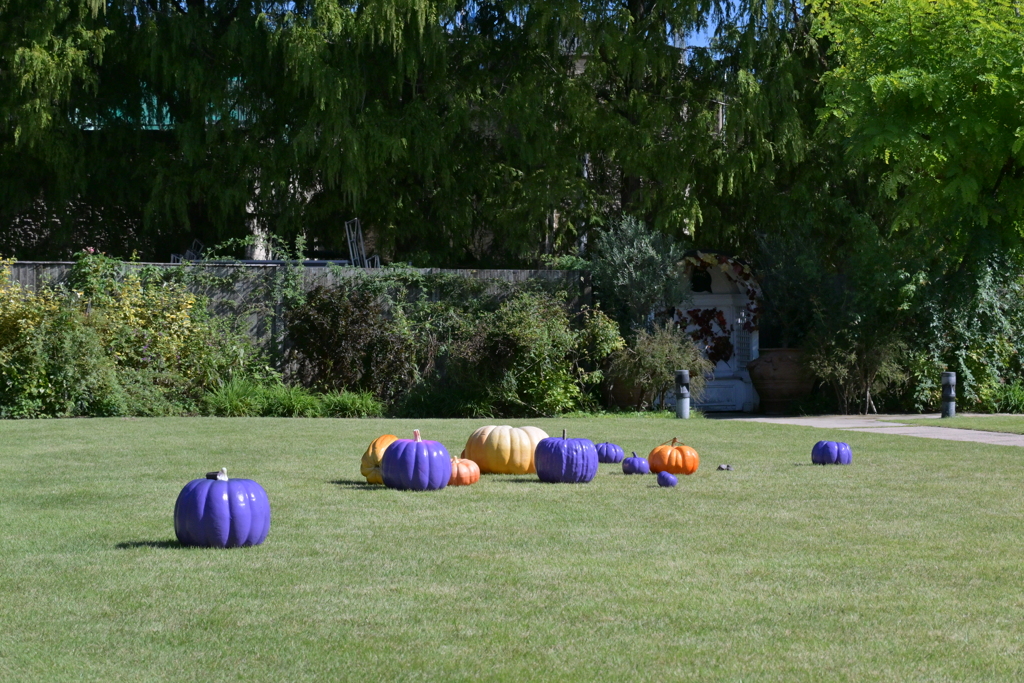 寒くなった秋のガーデンで。