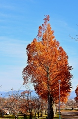 行楽日和でウキウキでした。