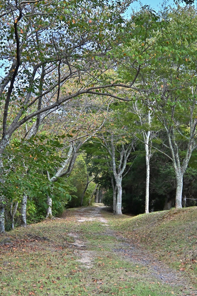 初秋の公園で