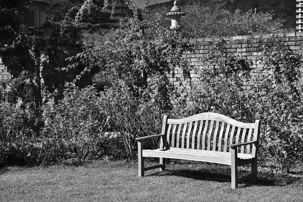 寒くなった秋のガーデンで。