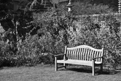 寒くなった秋のガーデンで。