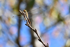 初秋の公園で・・