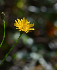 初秋の公園で・・