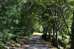 初秋の公園で