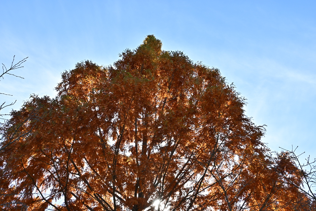 行楽日和でウキウキでした。