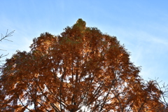 行楽日和でウキウキでした。