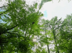 宿泊先のペンションにて