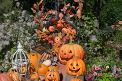 寒くなった秋のガーデンで。