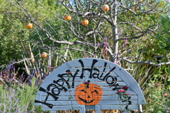 寒くなった秋のガーデンで。