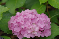 古き良き万博公園