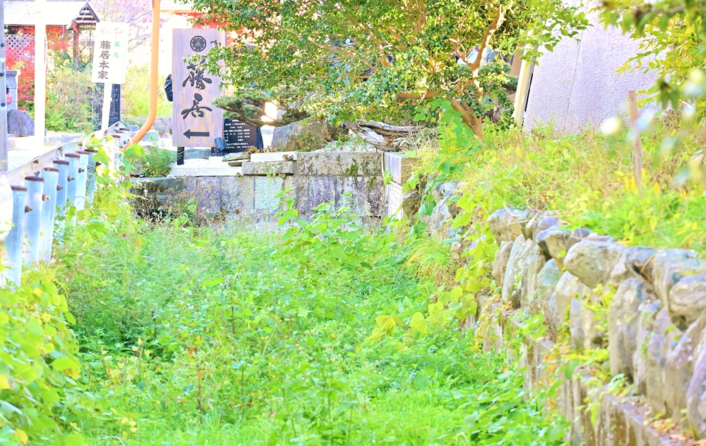 美酒と紅葉と音楽と