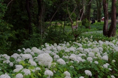 古き良き万博公園