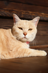 撮影は事務所を通してください！