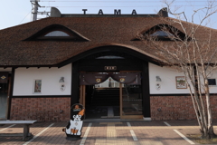ねこの駅