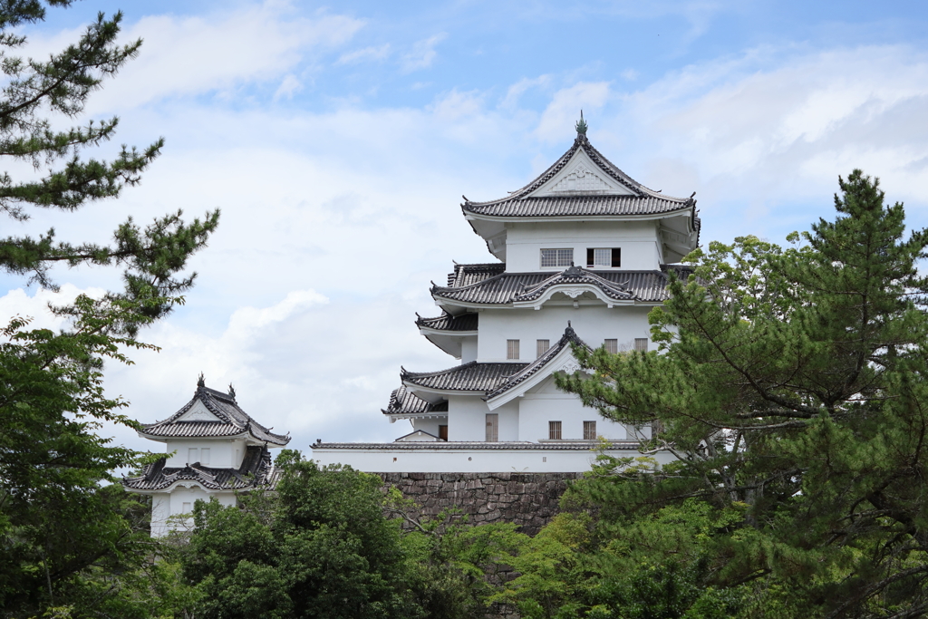 伊賀上野城