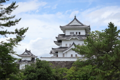 伊賀上野城