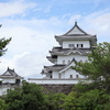 伊賀上野城