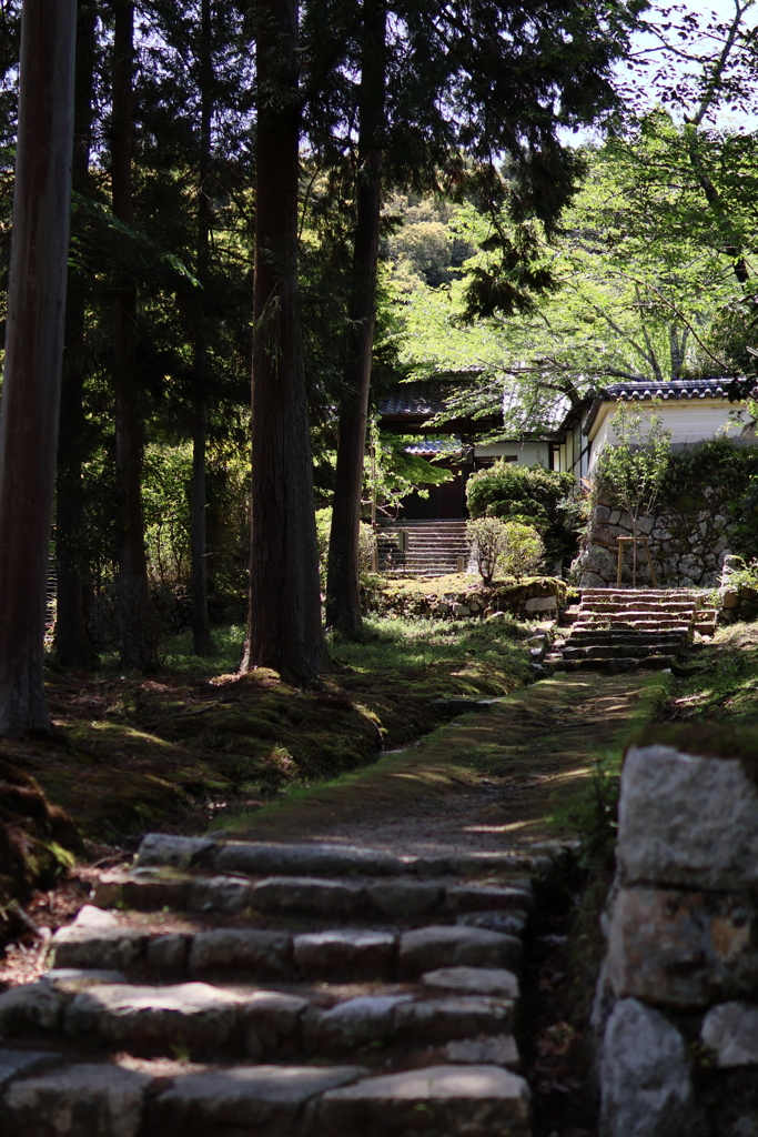 三井寺境内