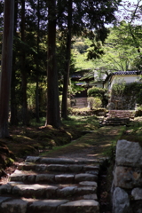 三井寺境内