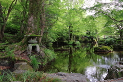 岐阜公園