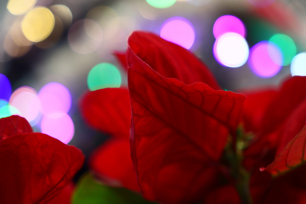 デコレーション