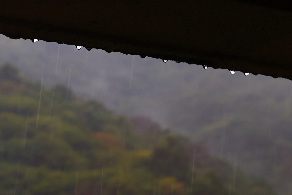 雨模様