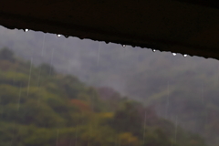 雨模様