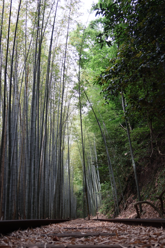 廃線跡３