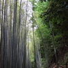 廃線跡３