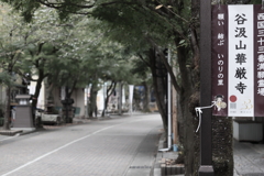谷汲山華厳寺参道