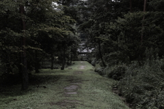 万徳院参道