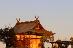 夕日に照らされて
