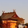 夕日に照らされて