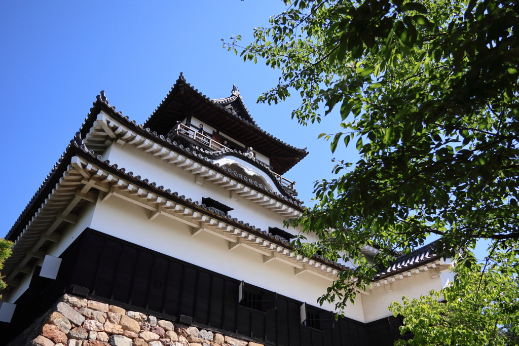 国宝犬山城
