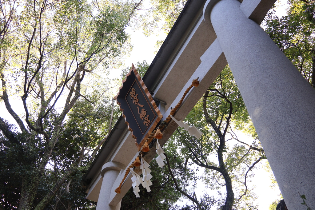 若宮八幡宮 鳥居