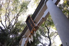 若宮八幡宮 鳥居