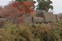 荒城