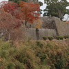 荒城