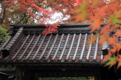滋賀永源寺の秋 滋賀永源寺の秋