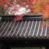 滋賀永源寺の秋