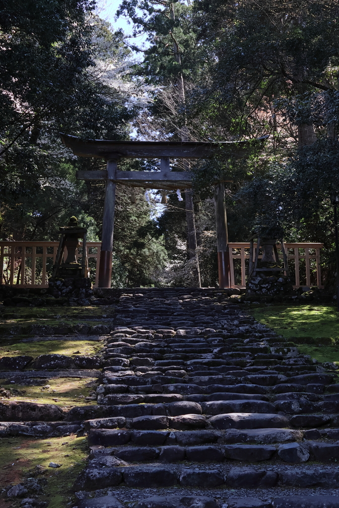 白山神社 鳥居